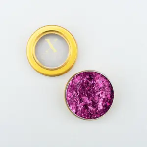 XS 19 Licht Roze Gezicht Glitters