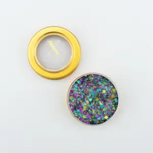 Disco Party Gezicht Glitters